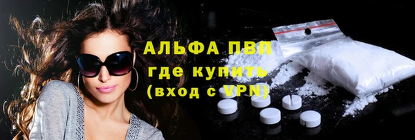 эйфоретик Майский