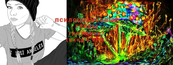 эйфоретик Майский