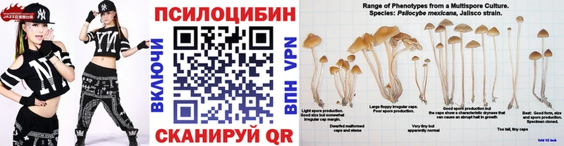 хочу наркоту  Нязепетровск  Псилоцибиновые грибы MAGIC MUSHROOMS 